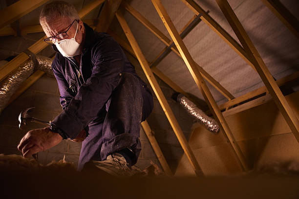 Best Home Insulation Services  in Spring City, UT